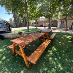 ab782cd9-e858-4ba1-9eff-7ce74502696d