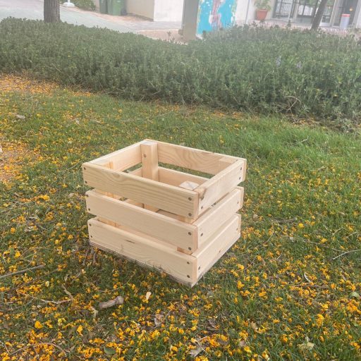קופסת עץ מוגמרת על דשא שנבנתה בסדנת נגרות לילדים.